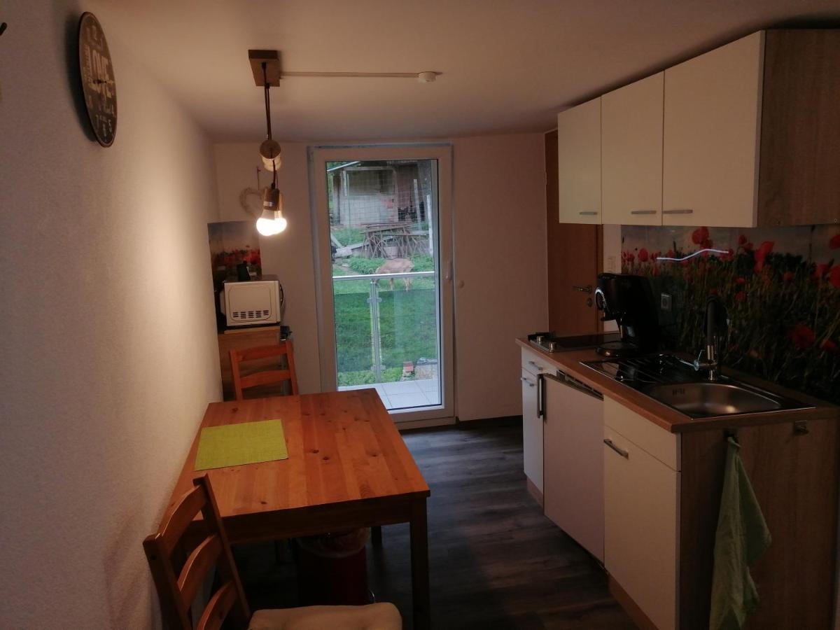 Kleine Wohnung Wutoschingen Exteriör bild